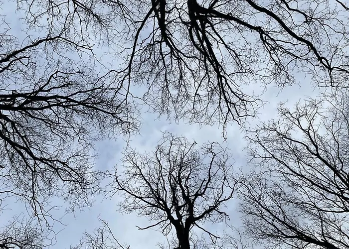 Tente Luxe Vue Etang Avec Jacuzzi 4 Campismo de Luxo Le Vigeant